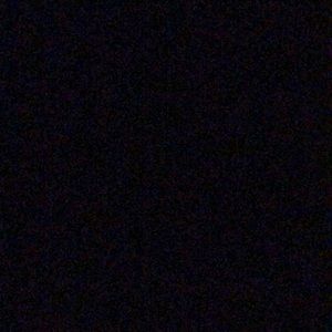 Meet your Posher, Alonzo